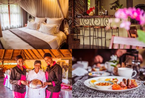 PHALABORWA TOURISM ASSOCIATION intelligence overview