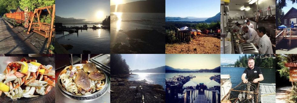 PHALABORWA TOURISM ASSOCIATION visual data 2