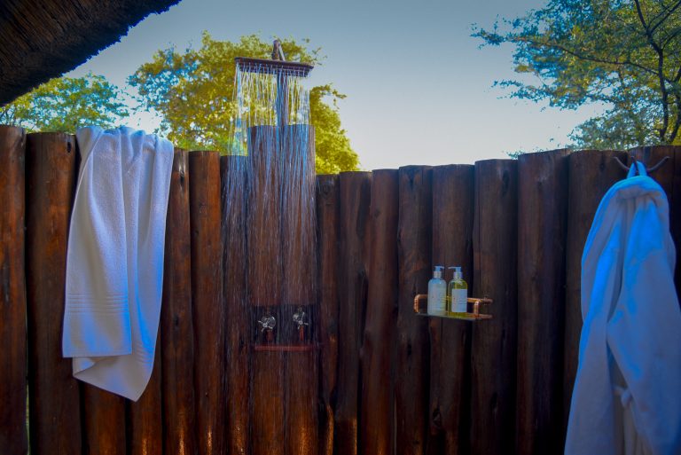 20190219 DSC 4771 768x513