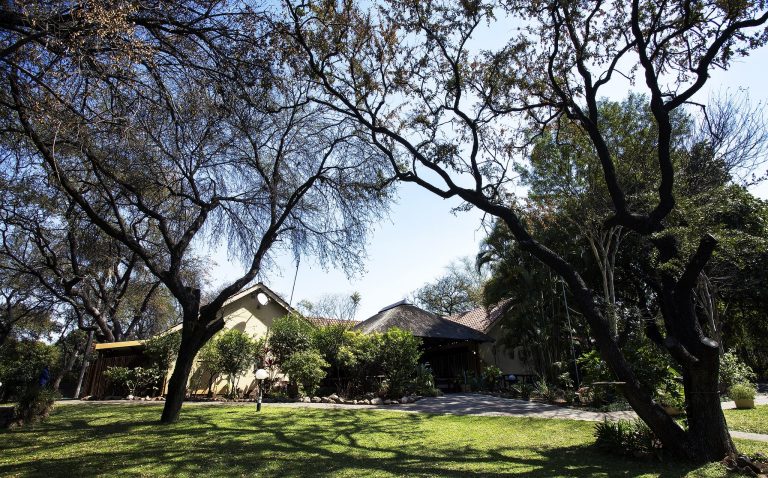 Sunbird Lodge 11 min 768x478